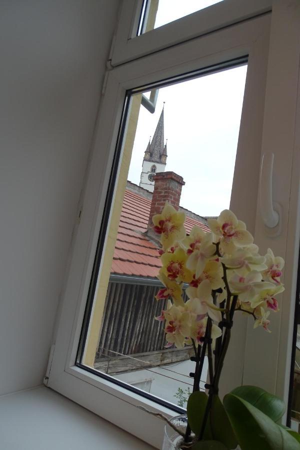 City Eyes Targul Vinului Apartment Sibiu Exterior photo